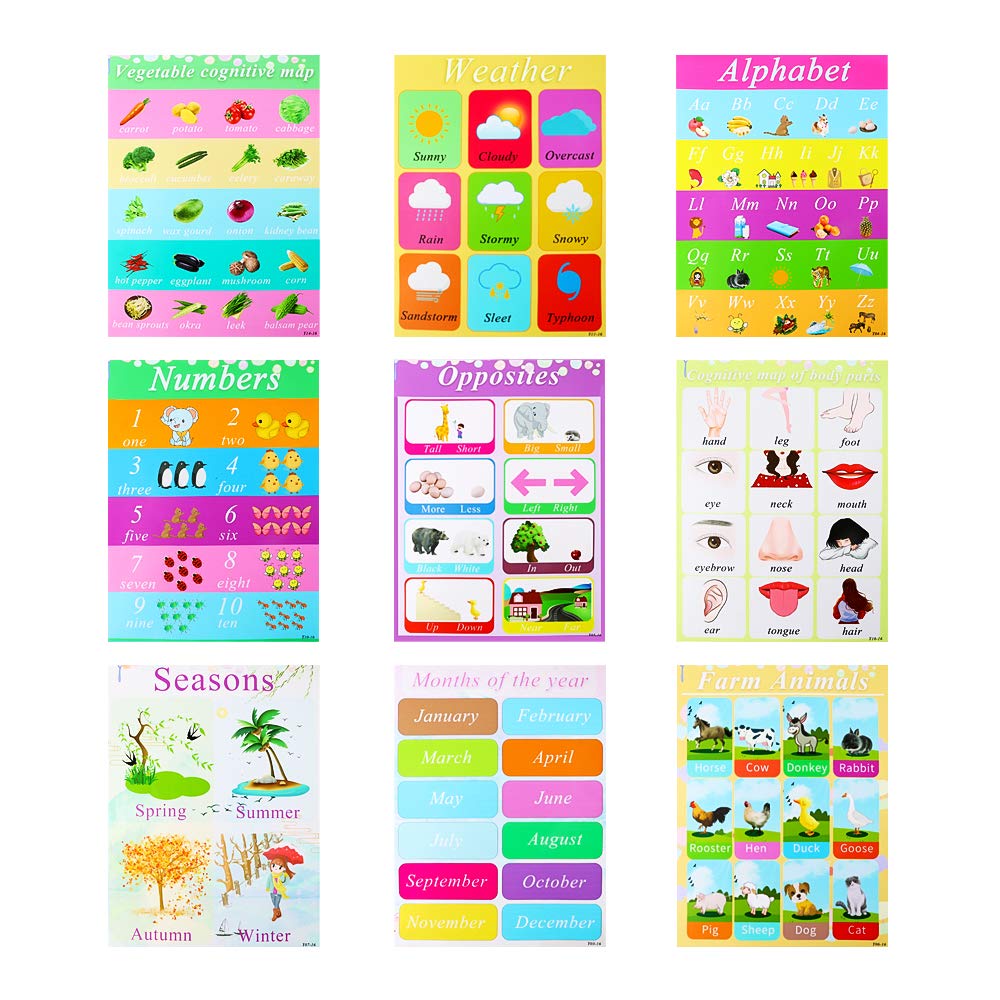 Of Roll 1 With Inches 15 8 X 11 8 Shapes Colors Numbers Alphabet Learning Preschool Kids For Posters Educational 18pcs Cocoboo Glue Dots Point Educational Charts Posters Classroom Decorations Clients First Reputation First Of Roll 1 With Inches 15 8 X 11 8 Shapes Colors Numbers Alphabet Learning Preschool Kids For Posters Educational 18pcs Cocoboo Glue Dots Point Educational Charts Posters Classroom Decorations Clients First Reputation First