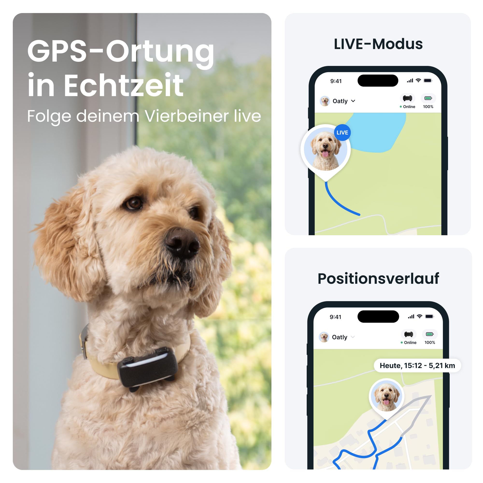 Tractive XL Smarter Hunde GPS Tracker | Modell 2026 | Live-GPS-Ortung | Weglaufalarm & Gesundheitswarnungen | Überwachung der Vitalwerte | Lange Akkulaufzeit | Empfohlen von Martin Rütter (Schwarz) 2