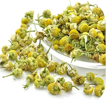 Amazon Artknock ドライフラワー 0g 天然 ローマ カモミール つぼみ ホームパーティーデコレーション マトリカリア カモミラ 花のつぼみ ドライフラワー オンライン通販