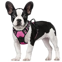 rabbitgoo Dog Harness, No-Pull Pet Harness with 2