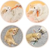 SUOXU Catnip Toy Rope 4 Pack Interactive Chew Toy for Indoor Cats view 4