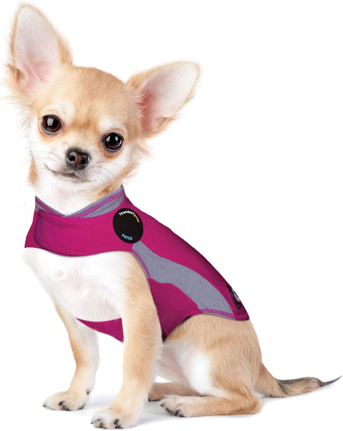 thundershirt for dogs sizing
