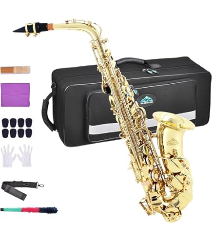 Amazon.com: Eldon by Antigua AS-22 Eb Alto Saxophone Lacquer