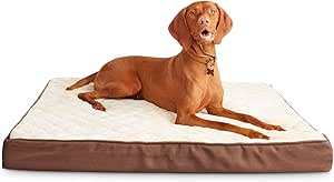 harmony dog bed xl