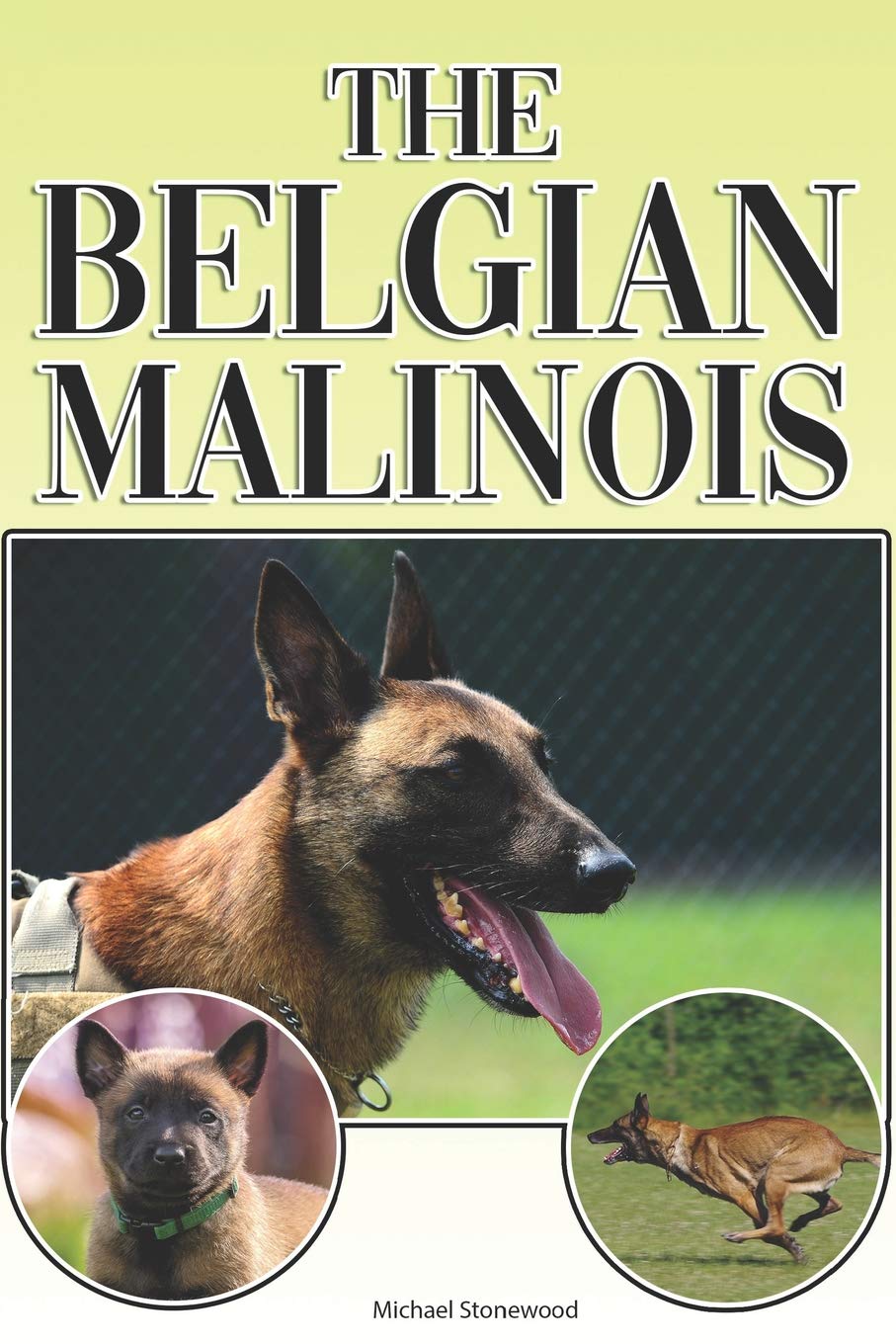 raising a belgian malinois