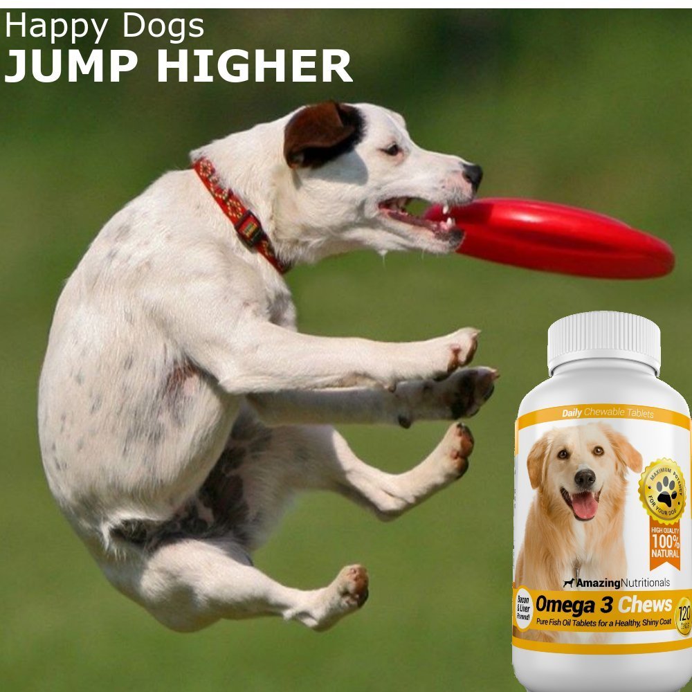 Amazing Nutritionals Chewable Fish Oil For Dogs Runners High Nutrition