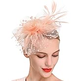 JUNBESTN Fascinators Hat Tea Party Headwear for Women Flower Mesh Feathers Headband