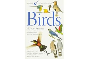 Birds of South America: Non-Passerines: Rheas to Woodpeckers