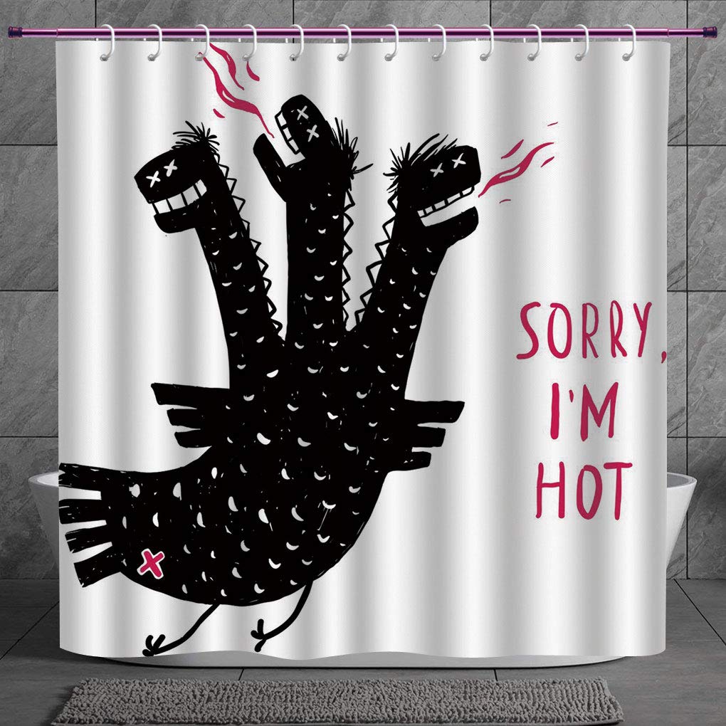 Decorative Shower Curtain 2 0 Quirky Decor Sorry Im Hot Humorous
