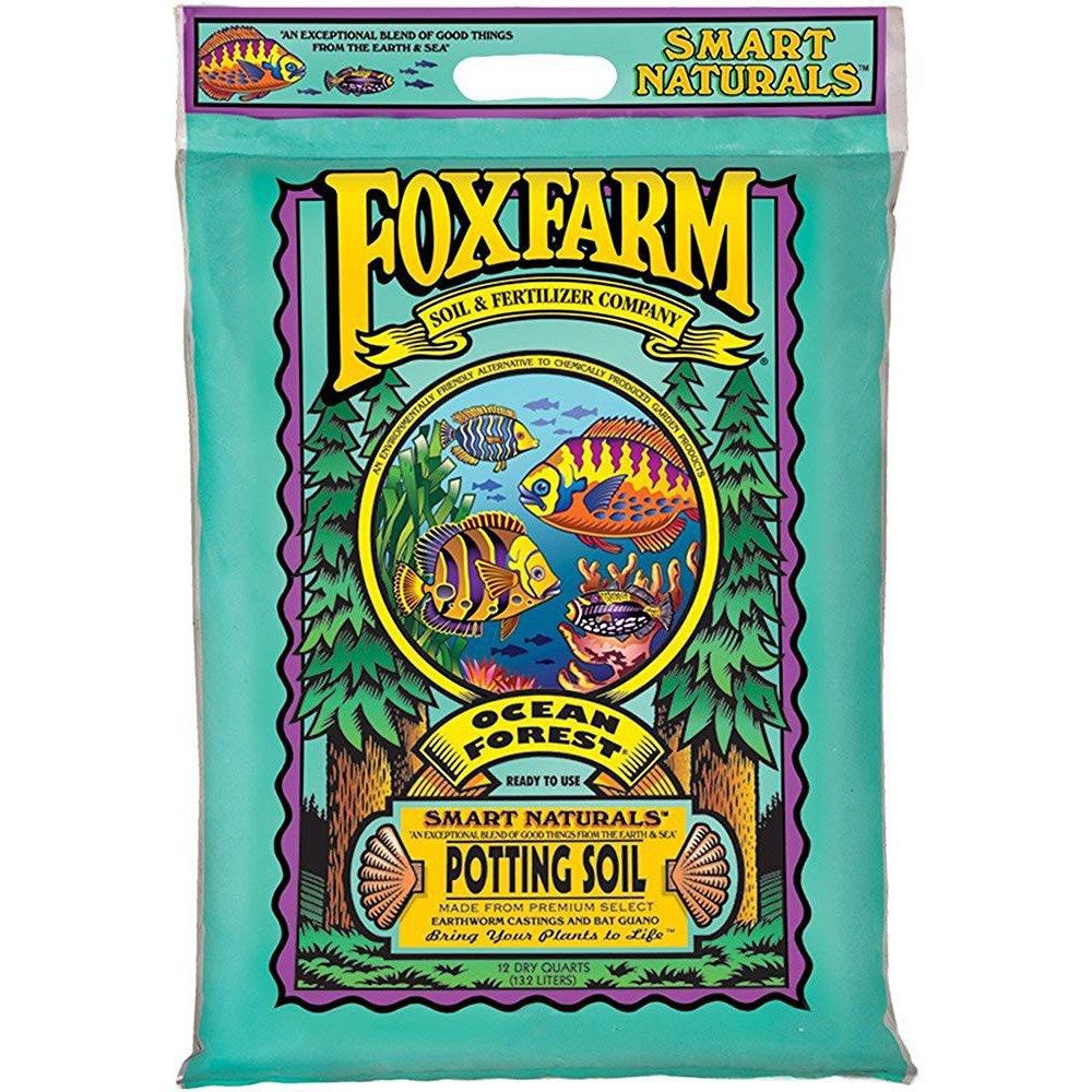 Best Potting Soil Our Top 10 Picks and Overall Favorite