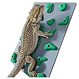 Miniature Reptile Rock Climbing Wall – Enclosure