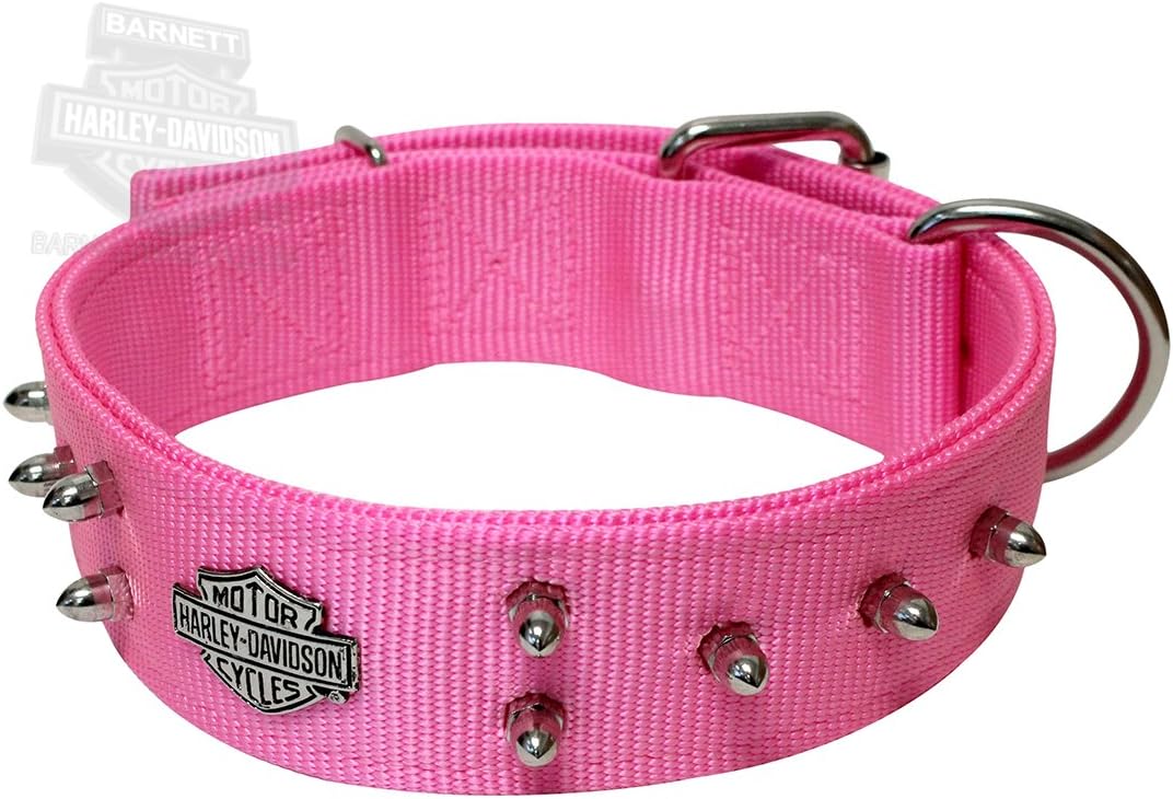 Harley Davidson Puppy Collars 2025