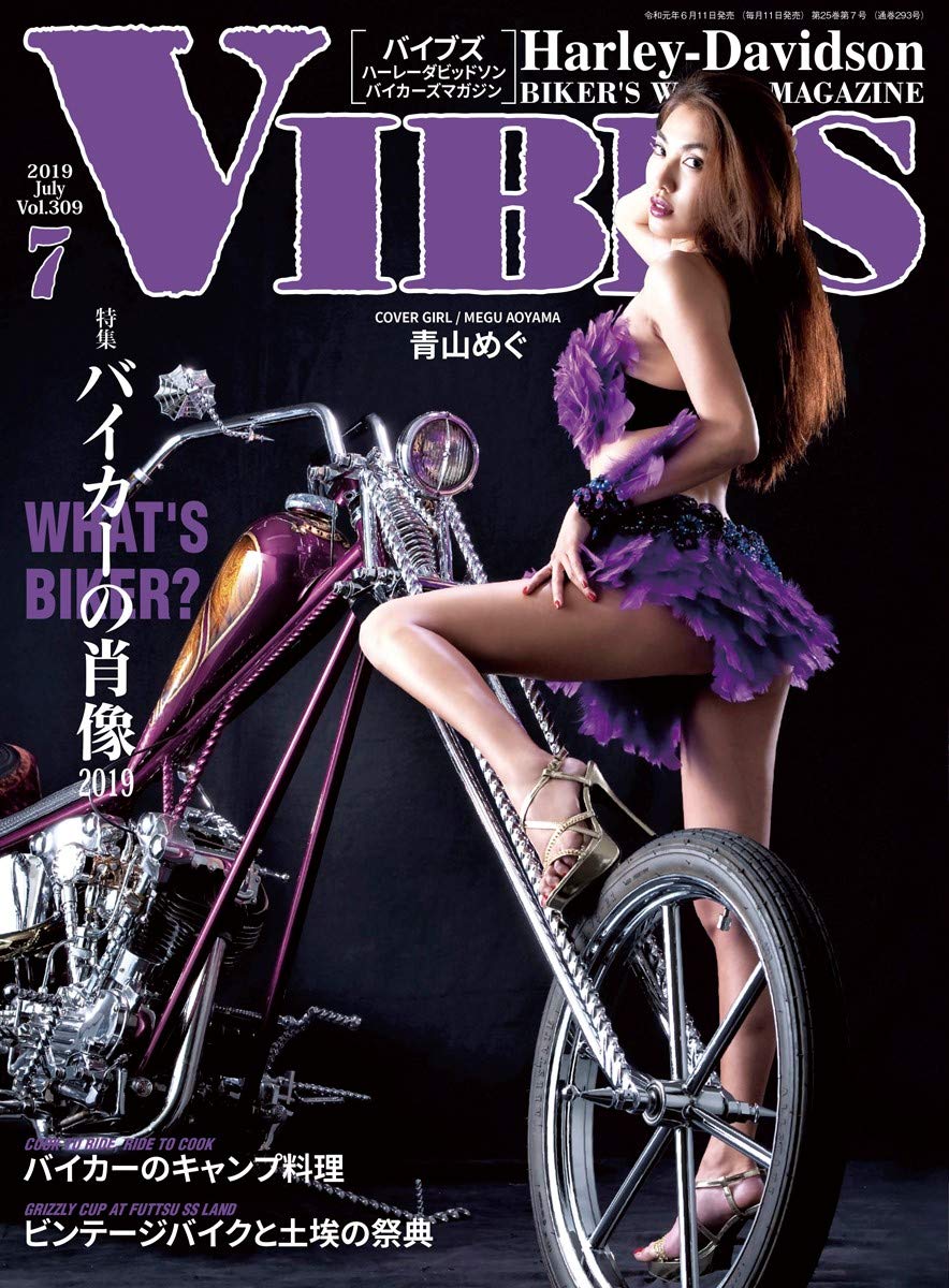 Vibes バイブズ 19年 7月号 Vol 309 バイブズ編集部 本 通販 Amazon