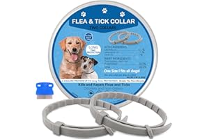 PUBAMALL Flea Collar for Dogs, 2 Pack Collar for Dogs, 12 Months Protection, Waterproof, Adjustable One Size Fits All, Grey