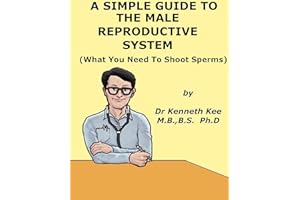 A Simple Guide to The Male Reproductive System (What You Need To Shoot Sperms) (A Simple Guide to Medical Conditions)