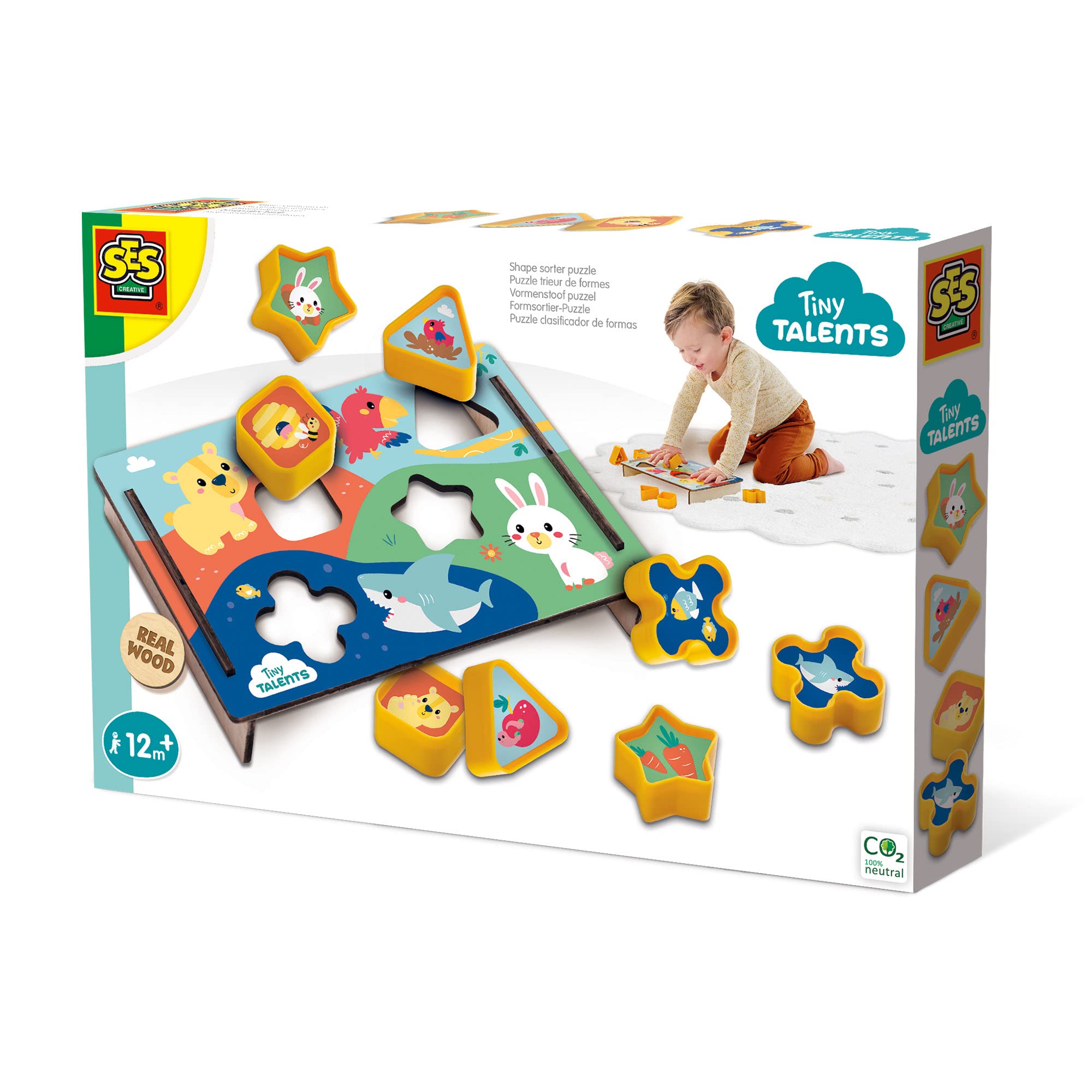 Shape sorter puzzle