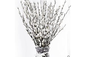 Koceko 45 Stems 17＂Real Dried Pussy Willow Branches for Vase，100% Natural PussyWillows with White Flowers, Snow Willow Branches for Indoor and Outdoor Decor, Wedding Home Party Hotel Fireplace Yard