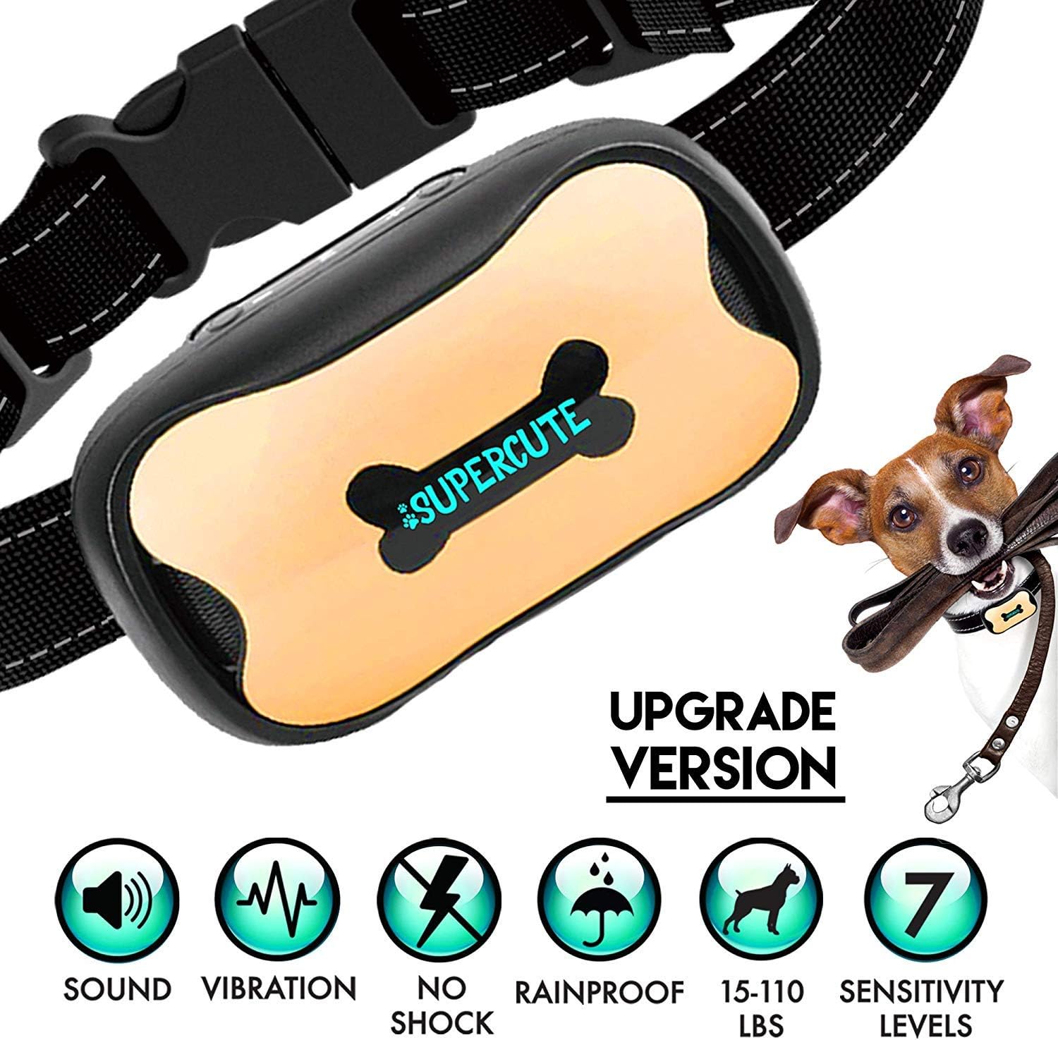 8 Ft 2 Inch Extra Long Dog Leash + Dog Leashes For Large Dogs + Dog Supplies Dog Products + Nylon Dog Leash + The Leash + Horse Leash + Leashes For Puppies + Pet Supplies for Dogs Leashes + Pet Supplies for Dogs