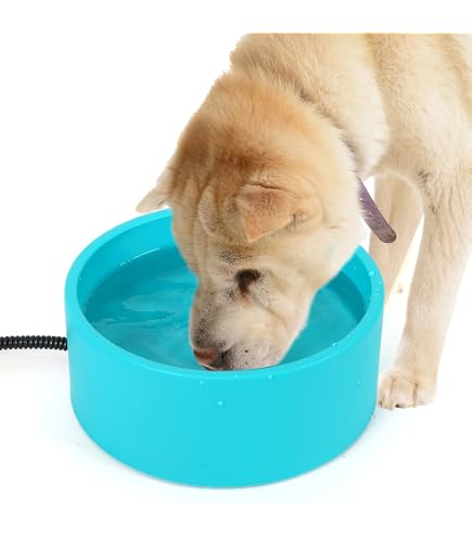 Gamelle D'Eau Chauffante Pour Chats/Chiens - Anti-Gel, 4 Températures Réglables, 16W, Pour Extérieur Hiver - 7