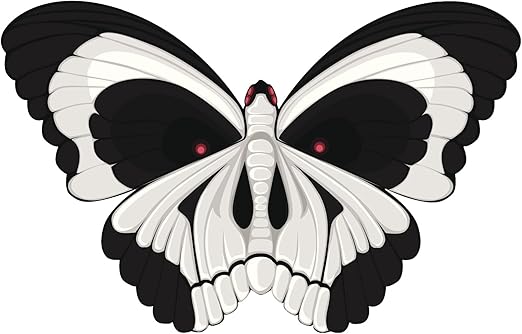 Amazon Com Death Butterfly Skull Red Eyes Black White Vinyl Decal
