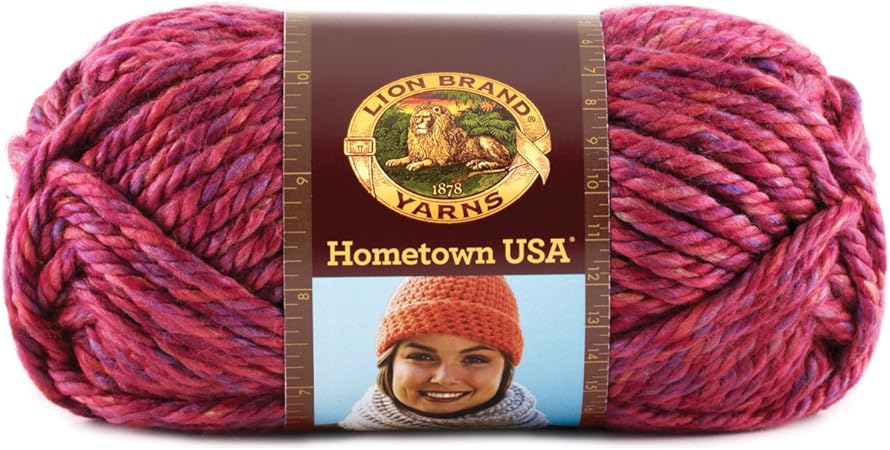 Lion Brand Yarn 135 208 Hometown Yarn Phoenix Azalea 1 Skein