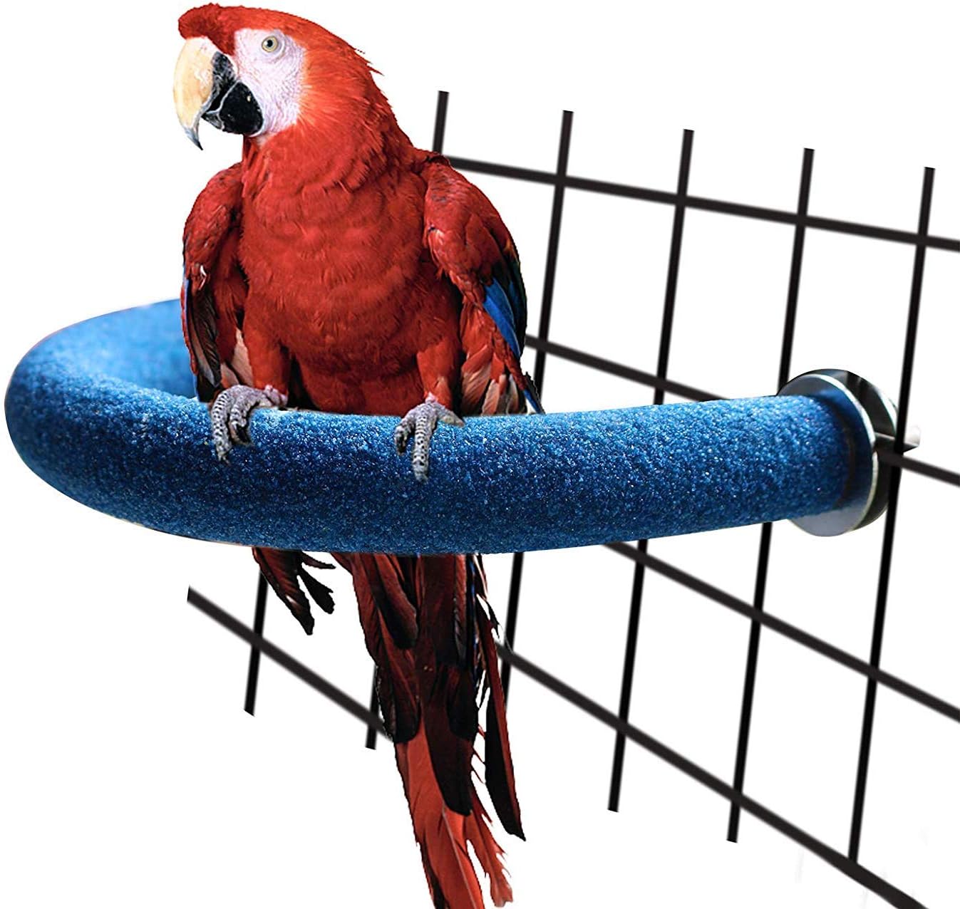 STAJOY Parrot Perches for Conures, Cockatiels, Budgie and