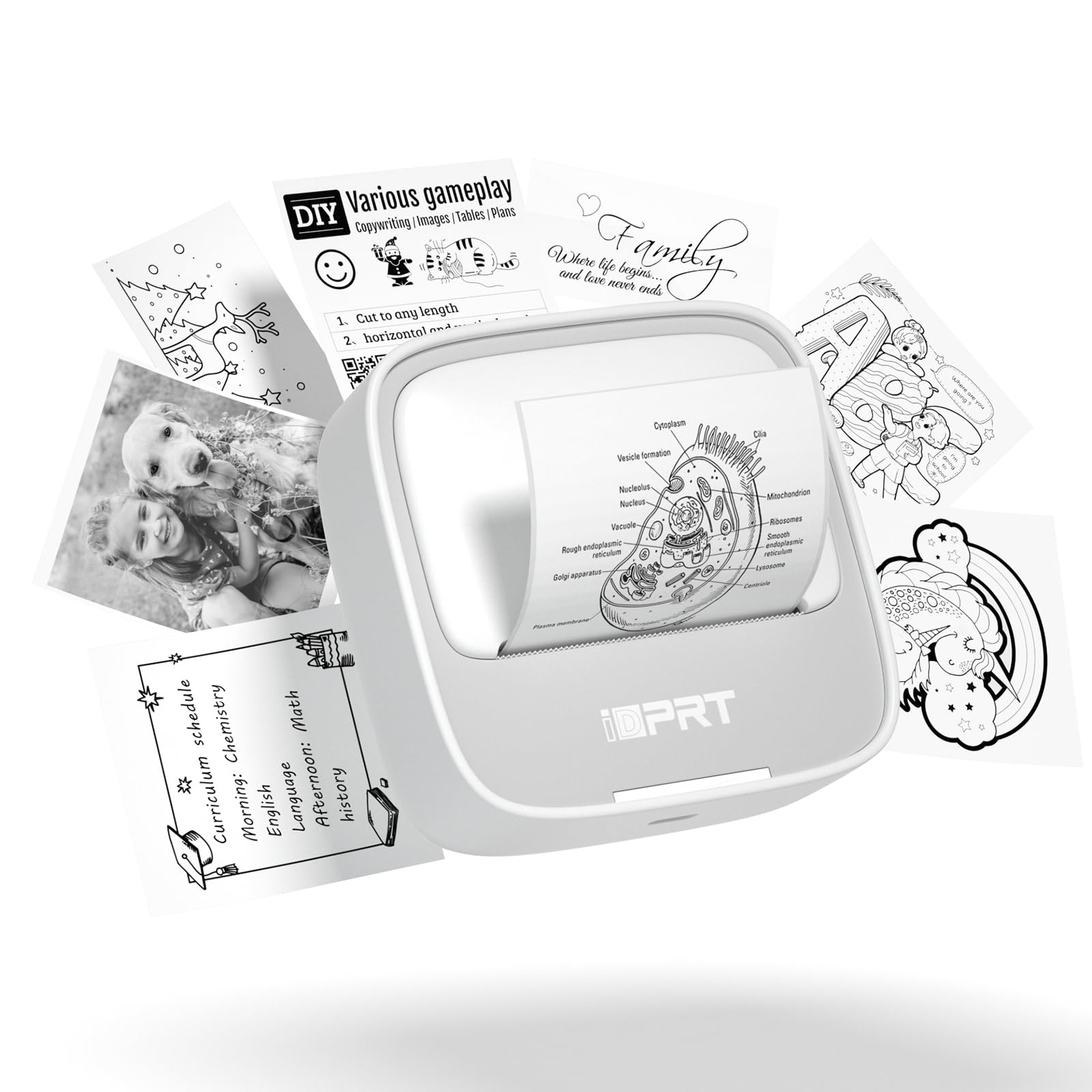 iDPRT Mini Portable Sticker Thermal Printer for Study Notes Pictures DIY Labels, Study Notes, Photos