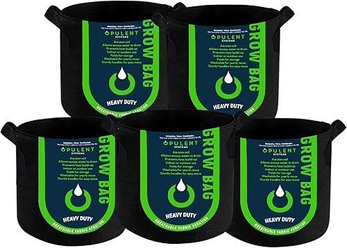 hstcstbl-table__image