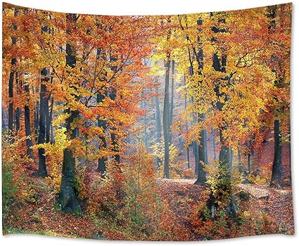 Amazon Com Lb Fall Tapestry Autumn Forest With Falling Red Leaves 3d Watercolor Tapestry Wall Blanket Wall Art Tapestry Wall Hanging For Bedroom Living Room Dorm 80 X 60 Inches Everything Else