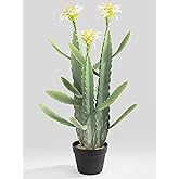 33 Inch Large Artificial Cactus with Lilly White Flowers in Pot with Natural Gravel. Satin Finish Leaves with Real Look and Feel. Outdoor and Indoor Faux Plants.