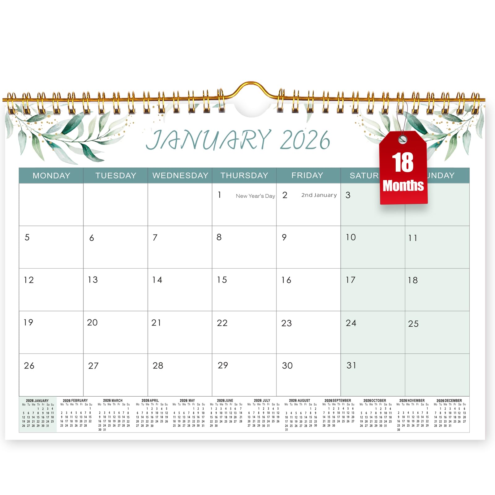 18 Mo Calendar 2026/27, A4 Wall Calendar 2026-2027, Monthly 2026 Calendar for Family Planner, Month to View From Jan 2026-Jun 2027, Academic Calender for Office Kitchen, Green Leaf