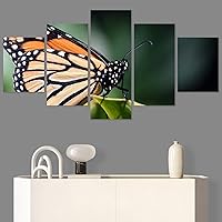 SIGNWIN 5 Panel Canvas Wall Art Birds Butterfly Closeup Colorful Contemporary Home Office Modern Art Multicolor Photography for Home Decorations Ready to Hang - 60