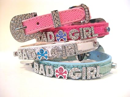 bad dog collars