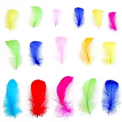 300pcs Colorful Feathers 2-3 Inches Bulk Feathers