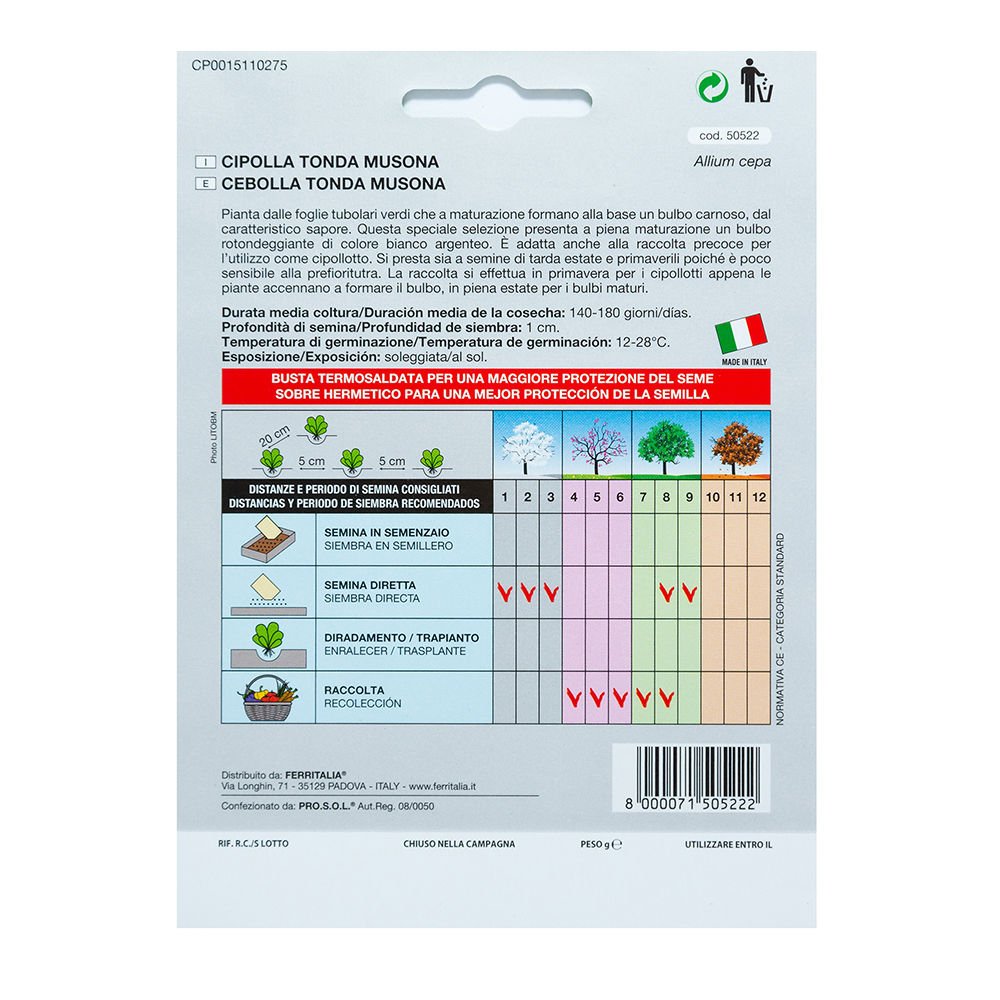 Semillas Cebolla Blanca (4 Gramos): Amazon.es: Jardín