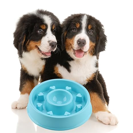 Amazon.com: gogoking tazón para perro Fun anti-choke Bowl ...