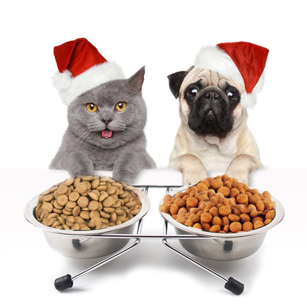 PETCUTE Dog Bowls Elevated dog feeding bowls Stainless Steel Raised Pet Bowls Non slip dog water food bowl cat bowls