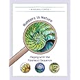 Numbers in Nature: Playing with the Fibonacci Sequence