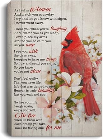 Amazon Com Motivational As I Sit In Heaven And Watch You Everyday Red Bird Cardinal Framed Canvas Perfect Happy Birthday Gift On Christmas Birthday 8 X12 Posters Prints