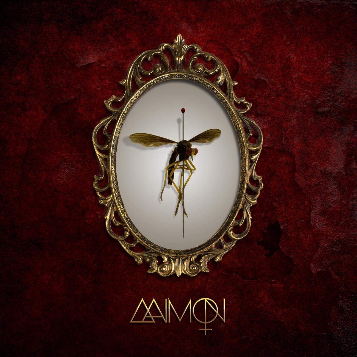 Aaimon [VINYL]