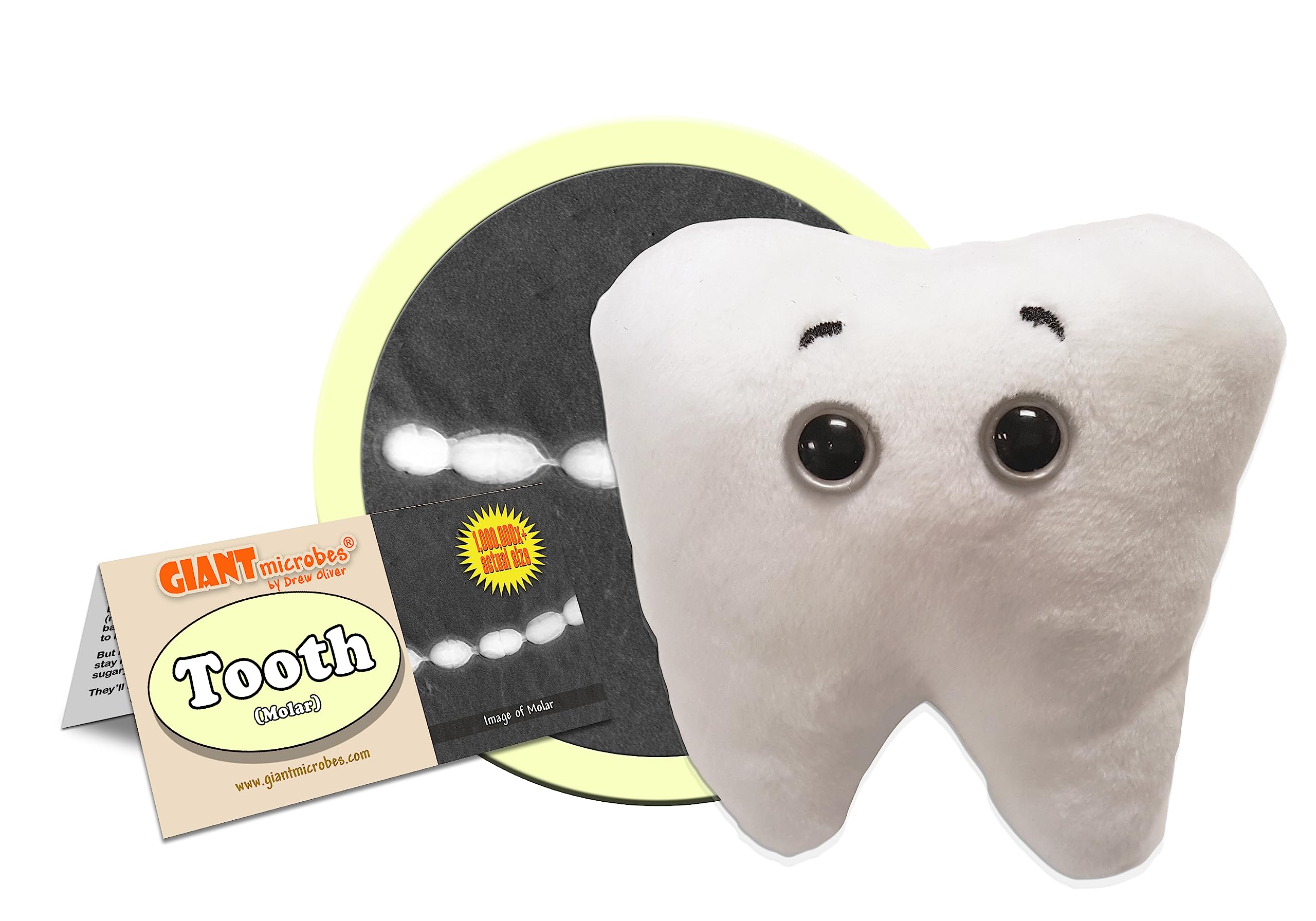 GIANTmicrobes Tooth (Molar)