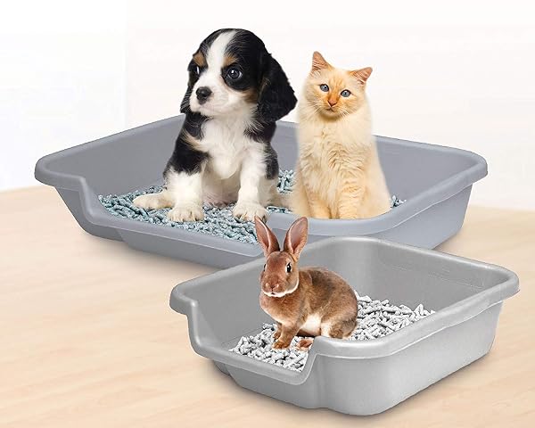 PUPPYGOHERE DOG LITTER BOX, LARGE SIZE, APPLE GREEN COLOR, DURABLE & PET SAFE PUPPY LITTER BOX, INDOOR OPEN TOP ENTRY DOG LITTER PAN, COMFORTABLE FOR DOGS, GREAT FOR DOGS UP TO 20 LBS