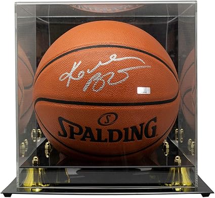 kobe bryant spalding basketball