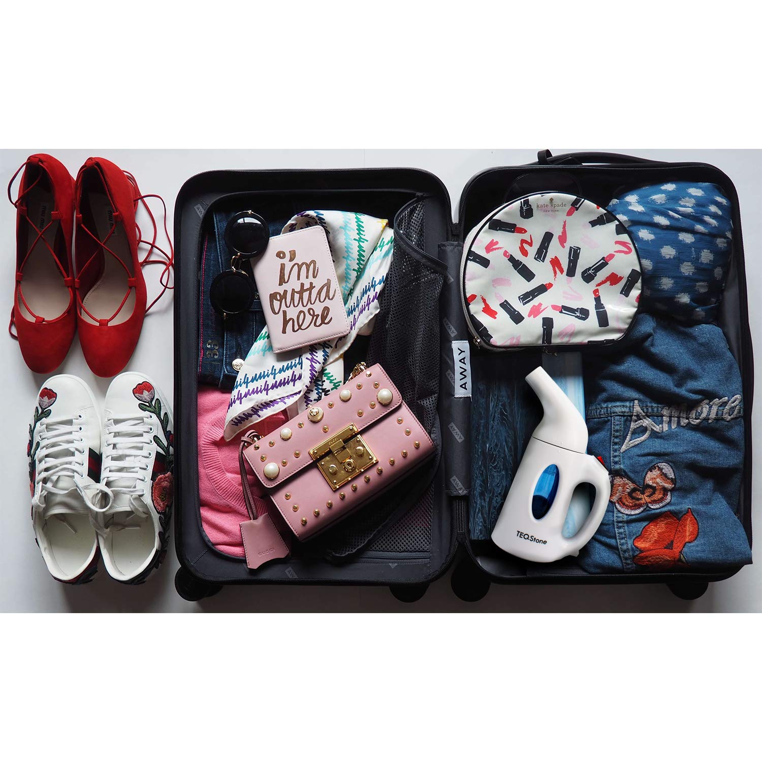 Défroisseur Vapeur Vertical Voyage, TEQStone Fer à Repasser Portable, 700W 130ML Mini Steamer Vapeur Vertical Réchauffage Rapide, Élimine les plis, Avec Gant Anti-Brûlure