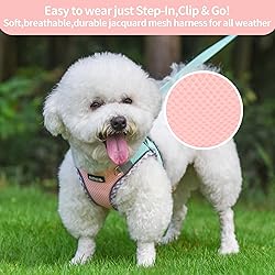 AIITLE Dog Harness and Leash Set