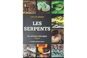 SERPENTS - Livre de photos - Les animaux sauvages: 130 magnifiques photos de serpents en milieu sauvages. Pour enfants et adu