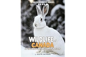 Wildlife of Canada: A Coffee Table Picture Book with Stunning Photography and Fun Facts of Canadian Wild Animals and Birds | 