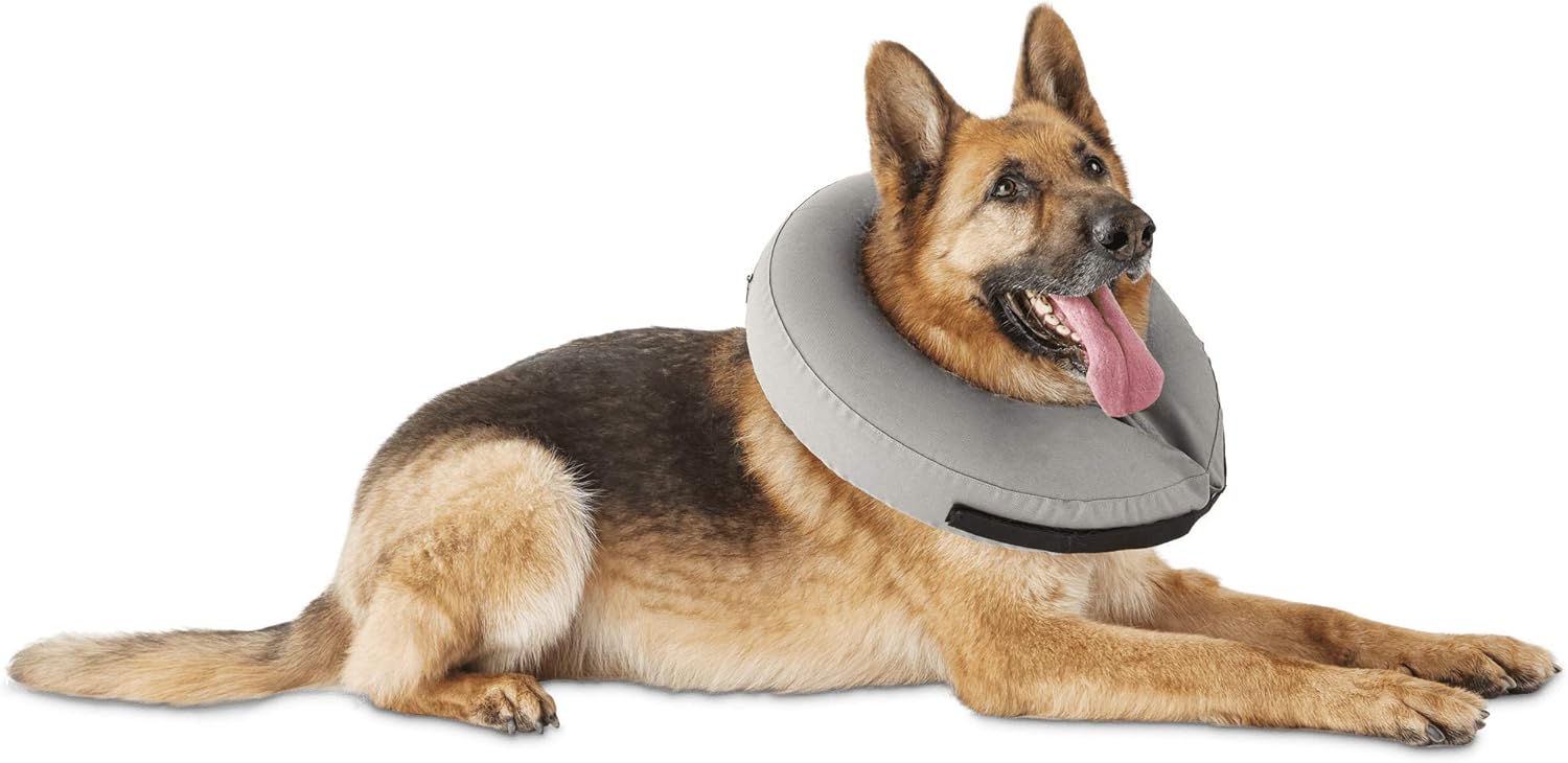 blow up dog collar amazon