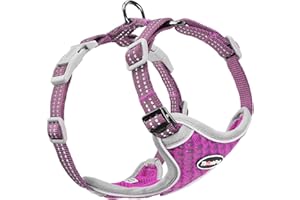 ThinkPet Reflective Breathable Soft Air Mesh No Pull Puppy Choke Free Over Head Vest Harness for Puppy Small Medium Dogs and 