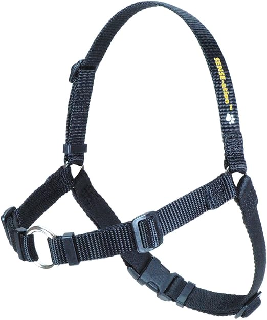 sensation harness for dogs